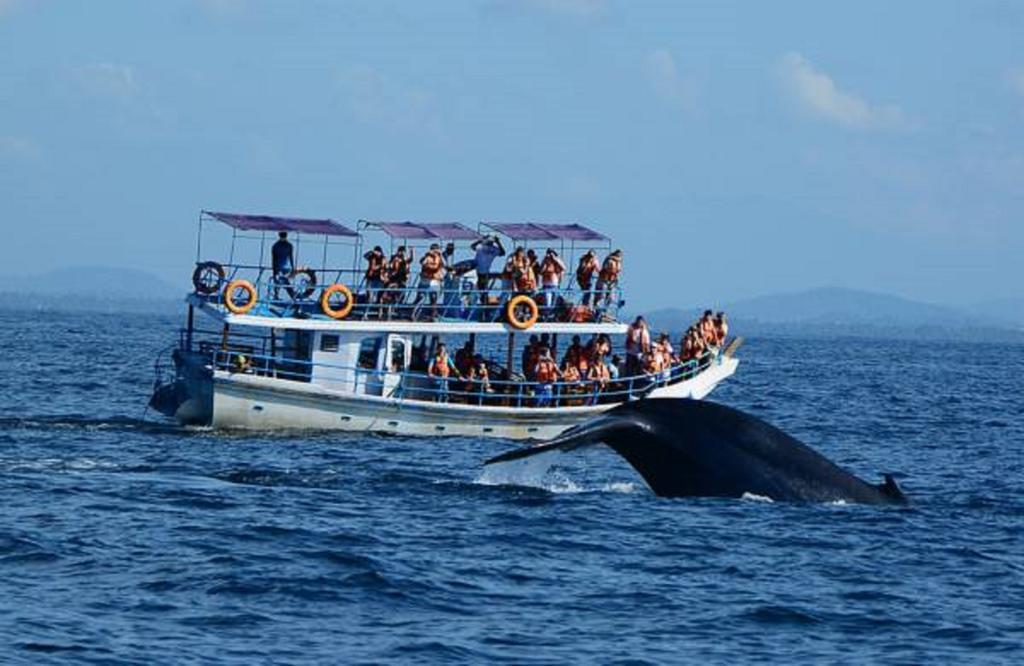 Blue Whale Lagoon Resort Ahangama Εξωτερικό φωτογραφία